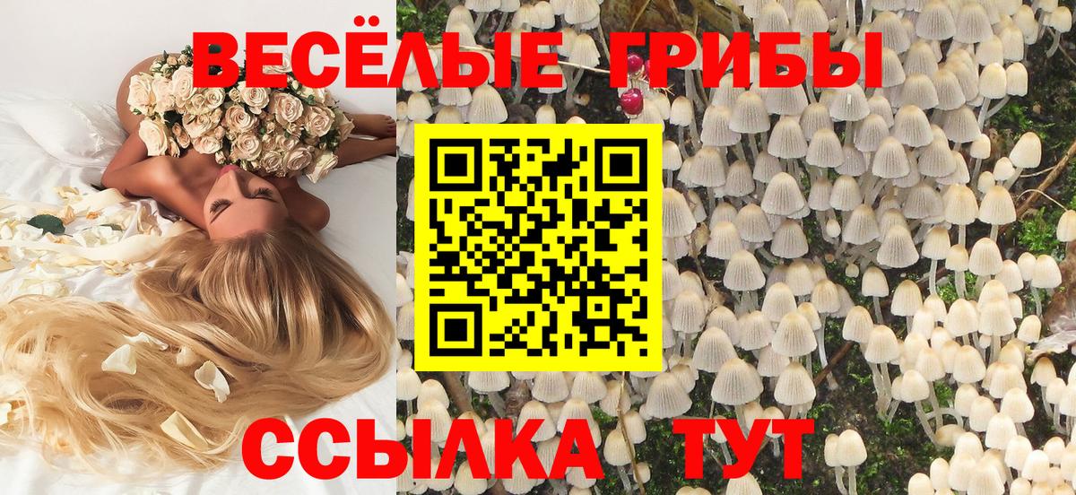 Галлюциногенные грибы мухоморы Изобильный